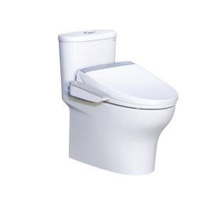 import placeholder for 2455