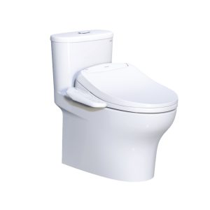 import placeholder for 2458