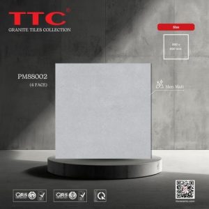 Gạch lát nền - PM88002