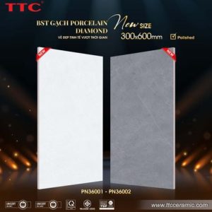 Gạch ốp tường - PN36001-02