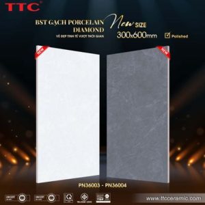 Gạch ốp tường - PN36003-04
