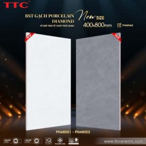 Gạch ốp tường - PN48001-02