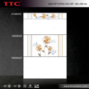 Gạch ốp tường - WB48025