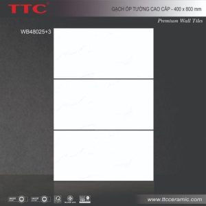 Gạch ốp tường - WB48025+3