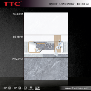 Gạch ốp tường - WB48031-32